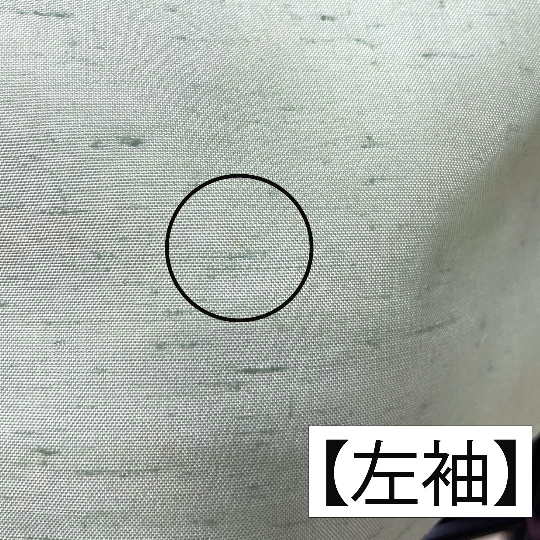 訪問着 正絹 Aランク 袷 身丈155cm 裄丈61cm 薄緑色(うすみどりいろ) 牛首紬 一つ紋 中陰蔦 草花 緑系 1112007533319