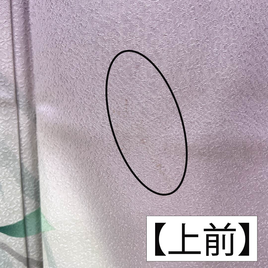 訪問着 正絹 Bランク 袷 身丈165.5cm 裄丈67.5cm 淡紅藤色(うすべにふじいろ) 付下げ 草花 紫系 1112007404520