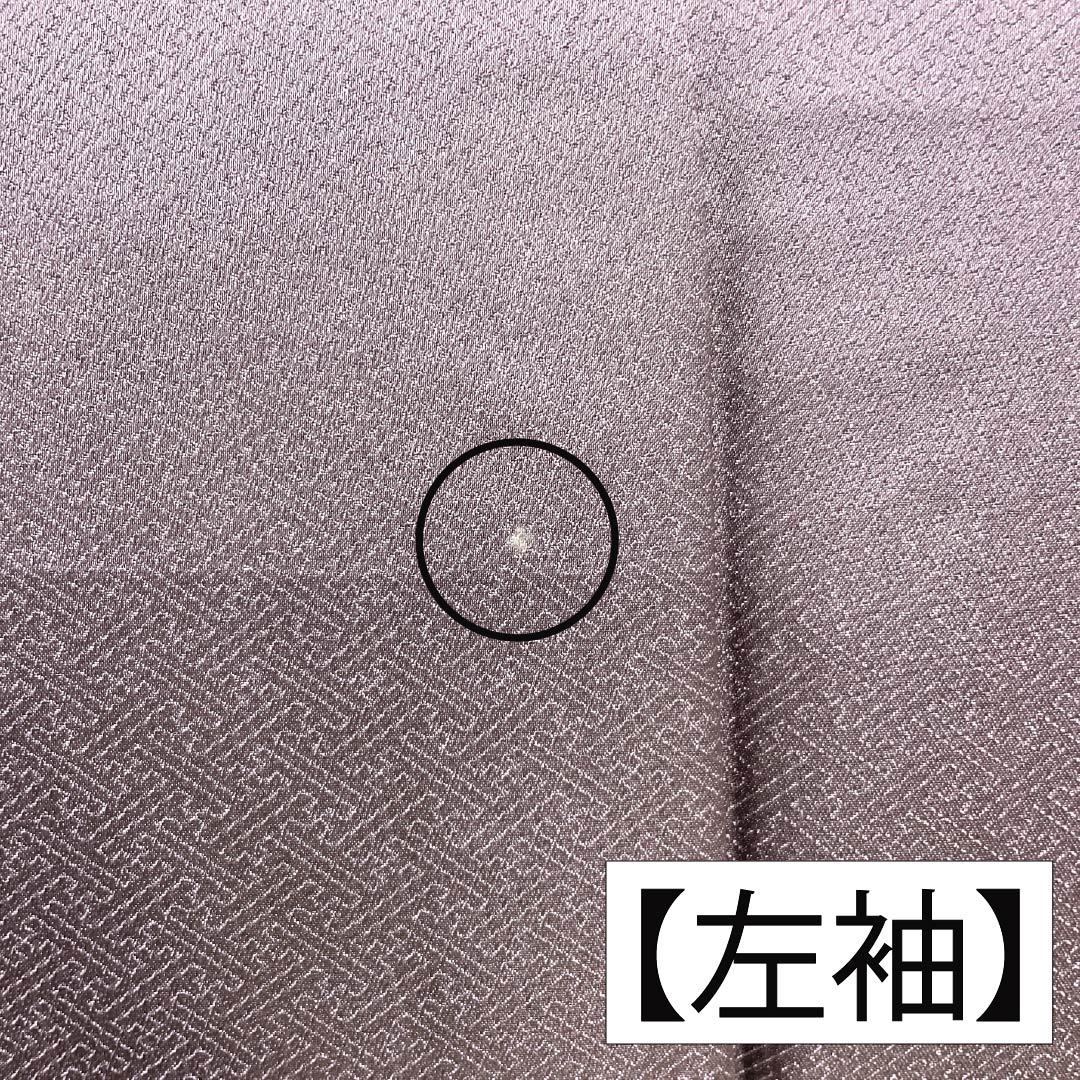 訪問着 正絹 Bランク 袷 身丈164cm 裄丈64.5cm 紅掛鼠色(べにかけねずいろ) 京友禅 一つ紋 草木 紫系 1112007044420