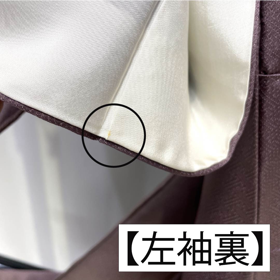 訪問着 正絹 Bランク 袷 身丈164cm 裄丈64.5cm 紅掛鼠色(べにかけねずいろ) 京友禅 一つ紋 草木 紫系 1112007044420