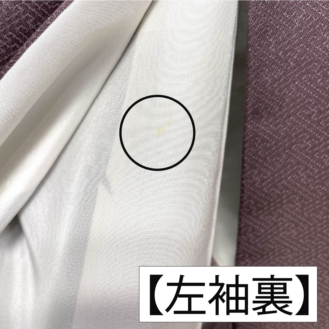 訪問着 正絹 Bランク 袷 身丈164cm 裄丈64.5cm 紅掛鼠色(べにかけねずいろ) 京友禅 一つ紋 草木 紫系 1112007044420