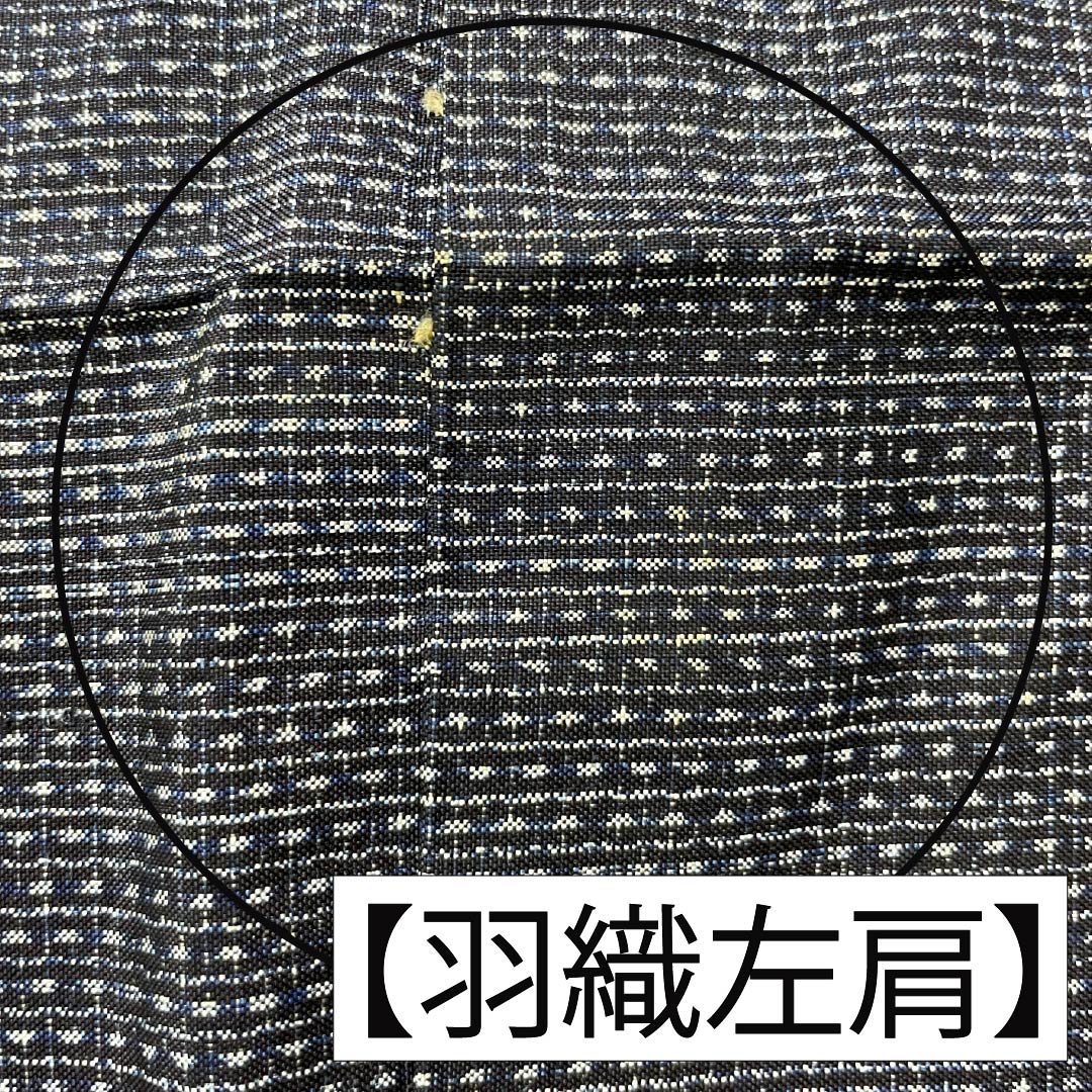 男物 正絹 Bランク 身丈140cm 裄丈65cm 青褐色(あおかちいろ) 横双絣 大島紬 アンサンブル 袷 紺系 1119001364418