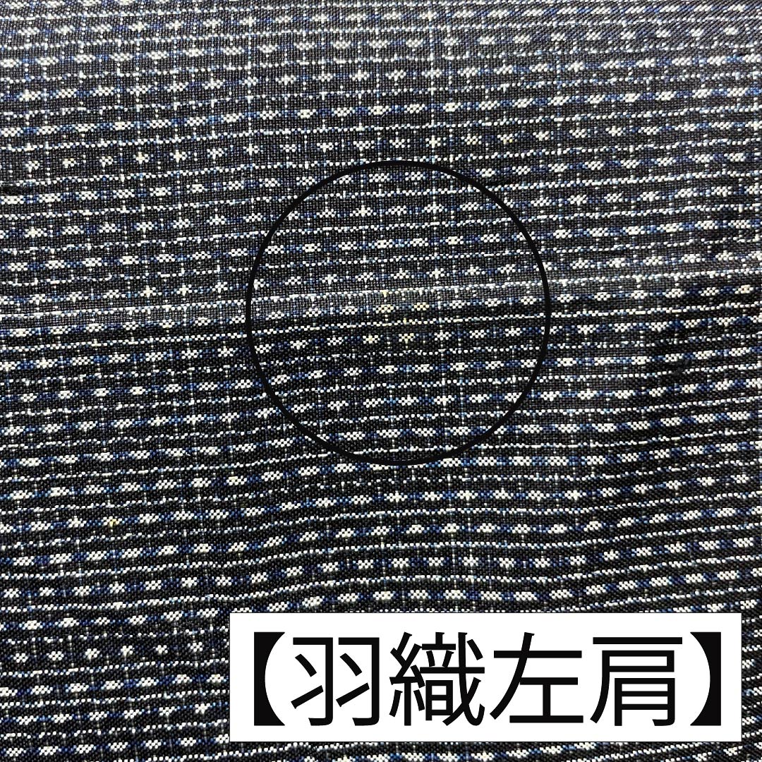 男物 正絹 Bランク 身丈140cm 裄丈65cm 青褐色(あおかちいろ) 横双絣 大島紬 アンサンブル 袷 紺系 1119001364418