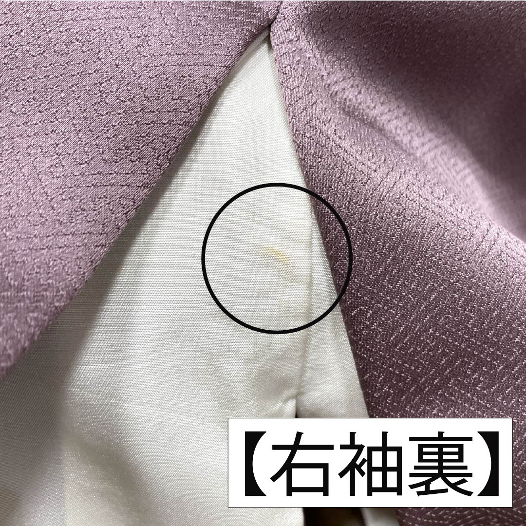 訪問着 正絹 Bランク 袷 身丈164cm 裄丈64.5cm 紅掛鼠色(べにかけねずいろ) 京友禅 一つ紋 草木 紫系 1112007044420