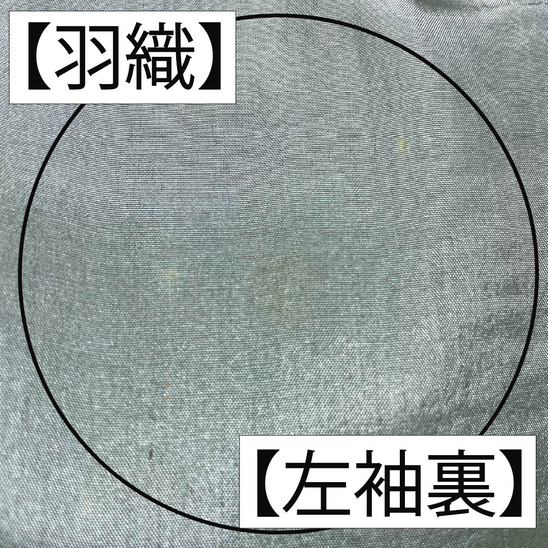 男物 正絹 Bランク 身丈140cm 裄丈65cm 青褐色(あおかちいろ) 横双絣 大島紬 アンサンブル 袷 紺系 1119001364418