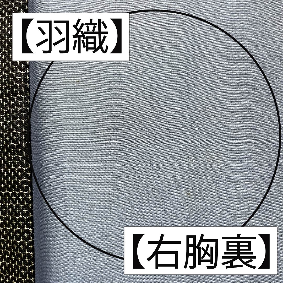Men's Silk B-Rank Kimono, Length 139cm, Sleeve Length 68.5cm, Small Kasuri Pattern, Tortoise Shell Pattern, Lined, Black, Product Number: 1119001424310