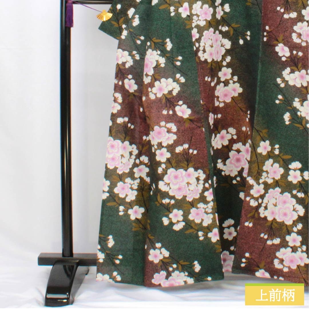 浴衣 木綿 身丈162cm 裄丈68cm Bランク 単衣 グラデーション系 萌葱色(もえぎいろ) 長春色(ちょうしゅんいろ) 桜 1118005984499