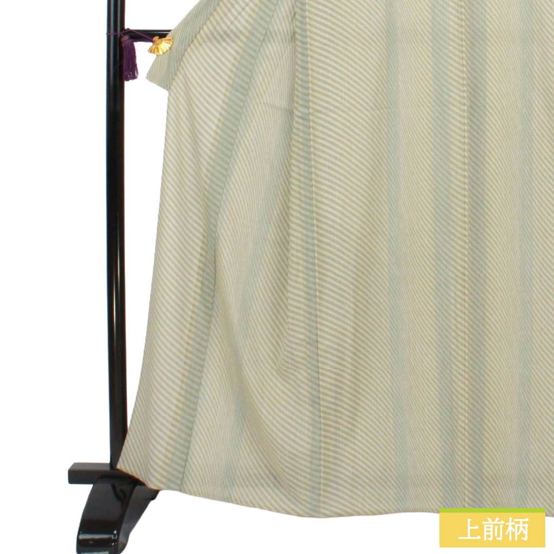 夏物 ポリエステル 小紋 Sランク 身丈163cm 裄丈64.5cm 抽象模様 洗える着物 絽 マルチカラー 1132003262428