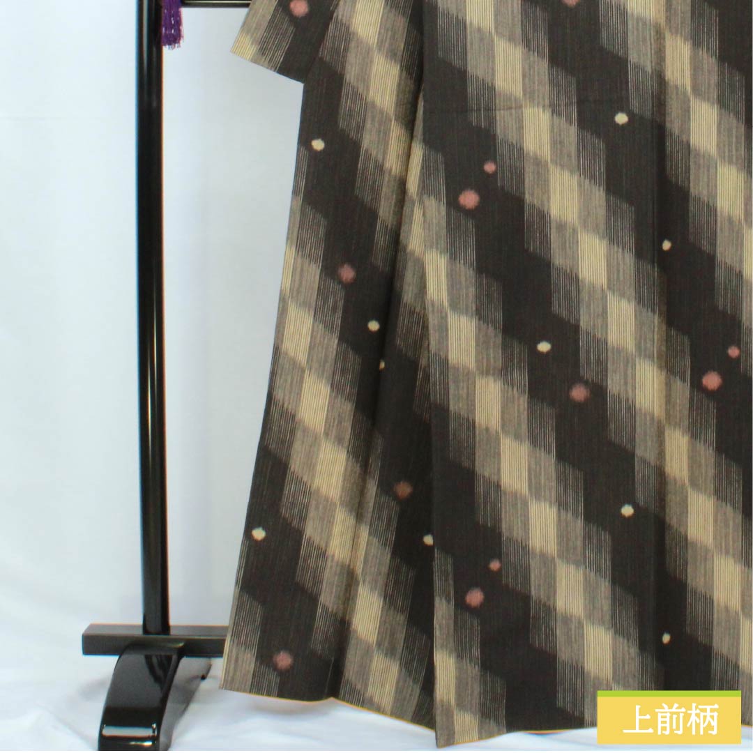 小紋 ポリエステル 身丈166.5cm 裄丈69cm 袷 網代 水玉 洗える着物 Sランク 黒系 1115005862510