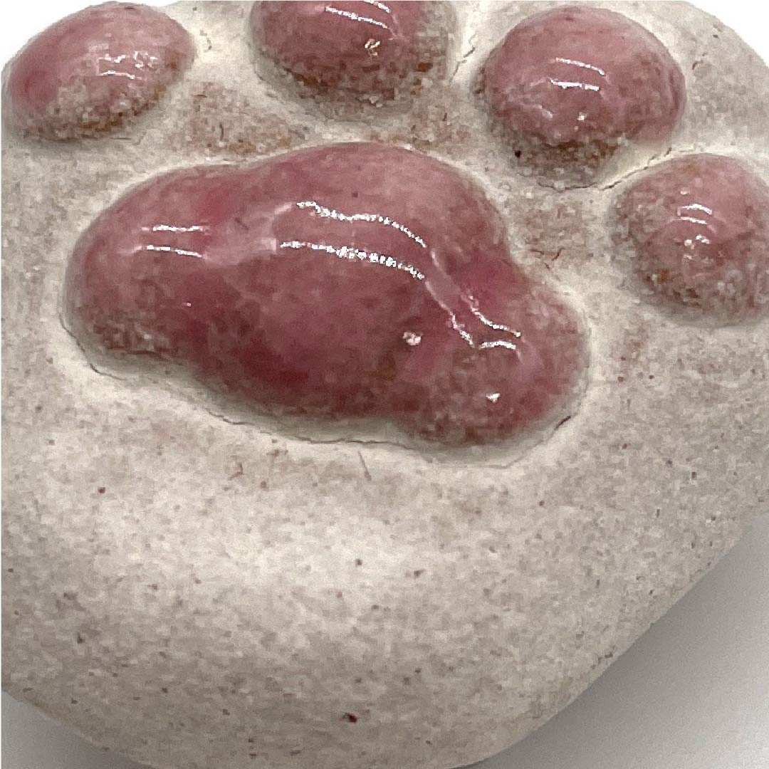 (新旧货) 腰带扣 陶瓷器 休闲 灰白色 信乐烧 猫 动物 长约3cm 宽约2.5cm S级 白色 1137000042911