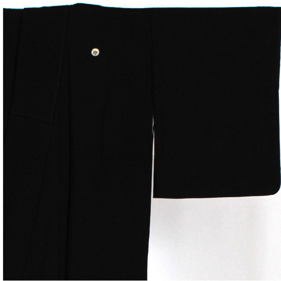 黒留袖 身丈165.5cm 裄丈65cm 袷 風景模様 下がり藤に三ツ割銀杏 正絹 Sランク 五つ紋 黒系 1111000262510