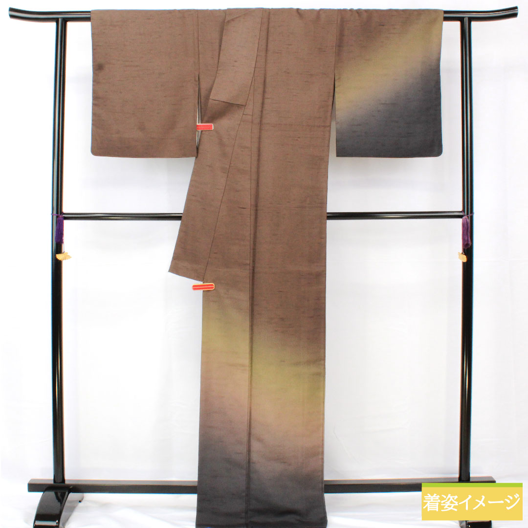 Homongi (formal kimono) made of pure silk, lined, length 169.5cm, sleeve length 66cm, smoked color (fusubeiro), pongee fabric, blurred pattern, A rank, brown, 1112005343514