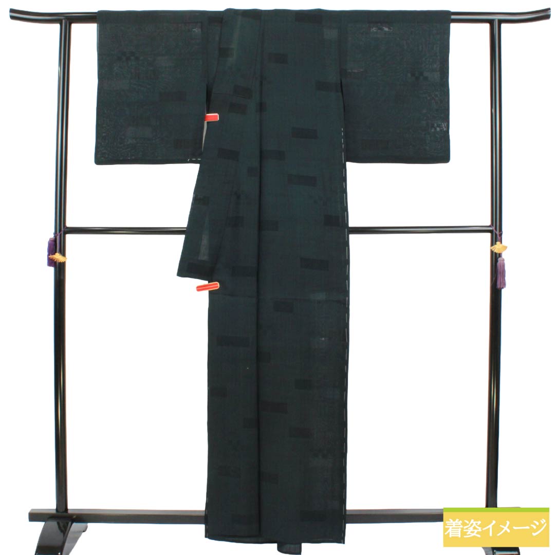 夏物 正絹 色無地 Bランク 身丈161cm 裄丈65.5cm 紬地 紋紗 紗 黒系 1132003824410