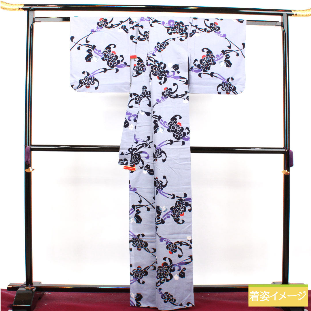 浴衣 木綿 身丈164cm 裄丈65.5cm Aランク 単衣 グレー系 白菫色(しろすみれいろ) 菊 1118004873422