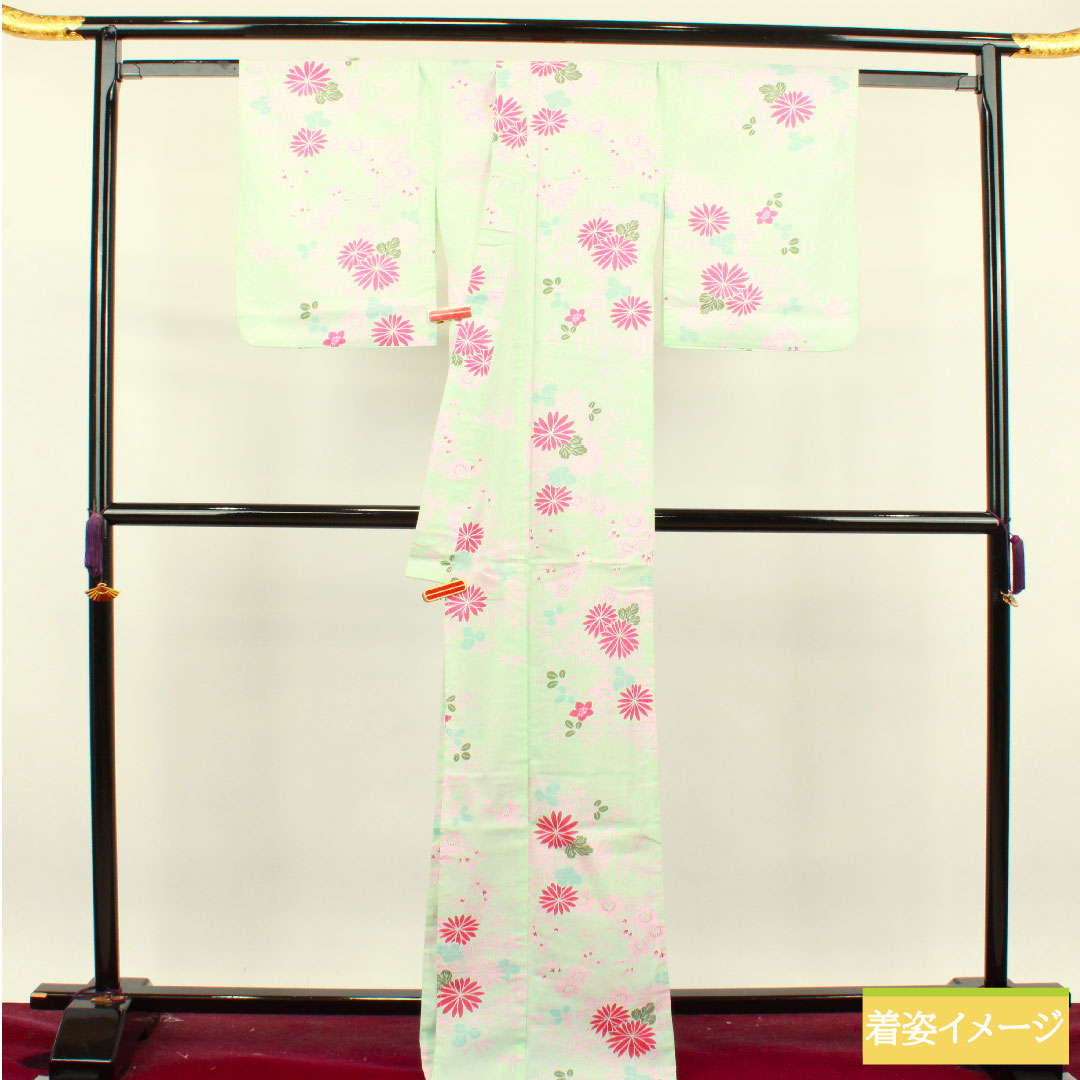 浴衣 木綿 身丈168.5cm 裄丈64cm Sランク 単衣 緑系 白緑色(びゃくろくいろ) 菊 桜 萩 1118004682519