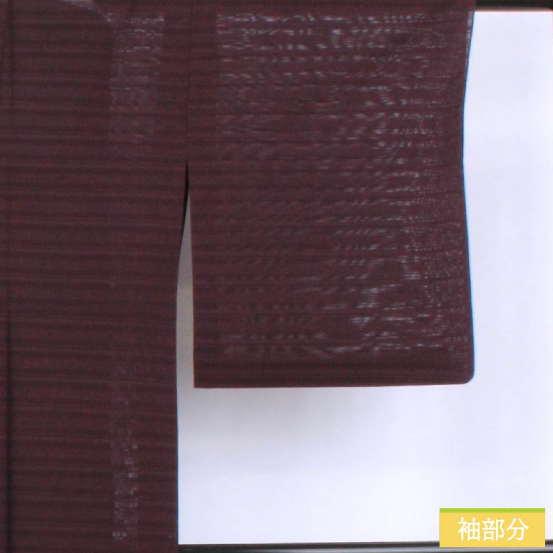 夏物 正絹 色無地 身丈159cm 裄丈64.5cm 二人静色(ふたりしずかいろ) 絽 Aランク 紫系 1132002733320