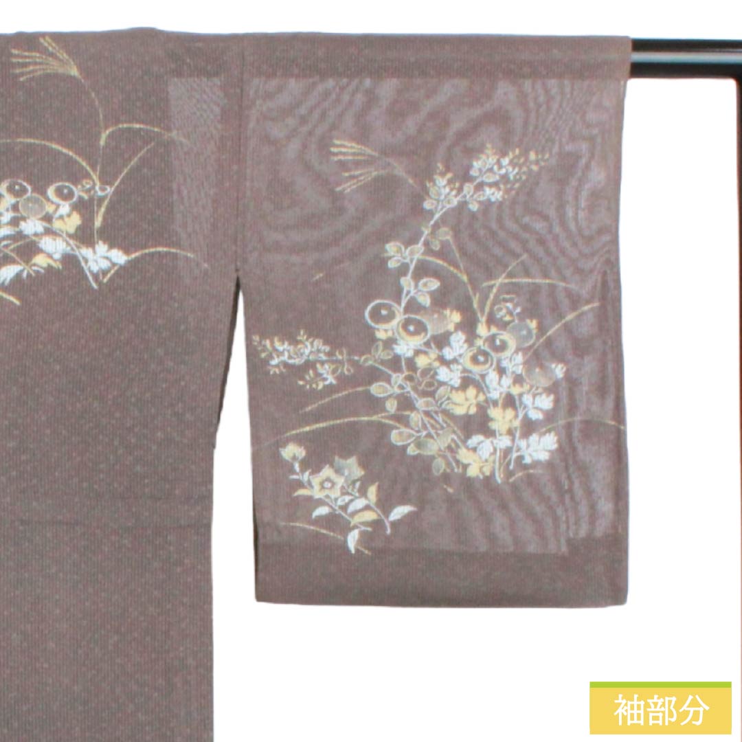 夏物 正絹 訪問着 Bランク 身丈165.5cm 裄丈65cm 都鼠色(みやこねずいろ) 京友禅 タタキ染 秋草 絽 茶系 1132005104514