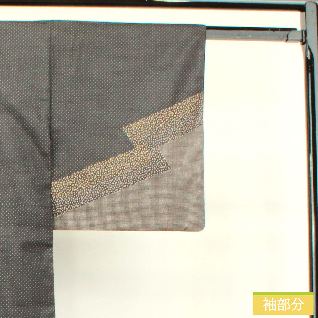 Homongi, pure silk, lined, length 164.5cm, sleeve length 63.5cm, Kyutaro Kawamura, Oshima Tsumugi, embroidery, Super Guard processing, S rank, gray, 1112004002422