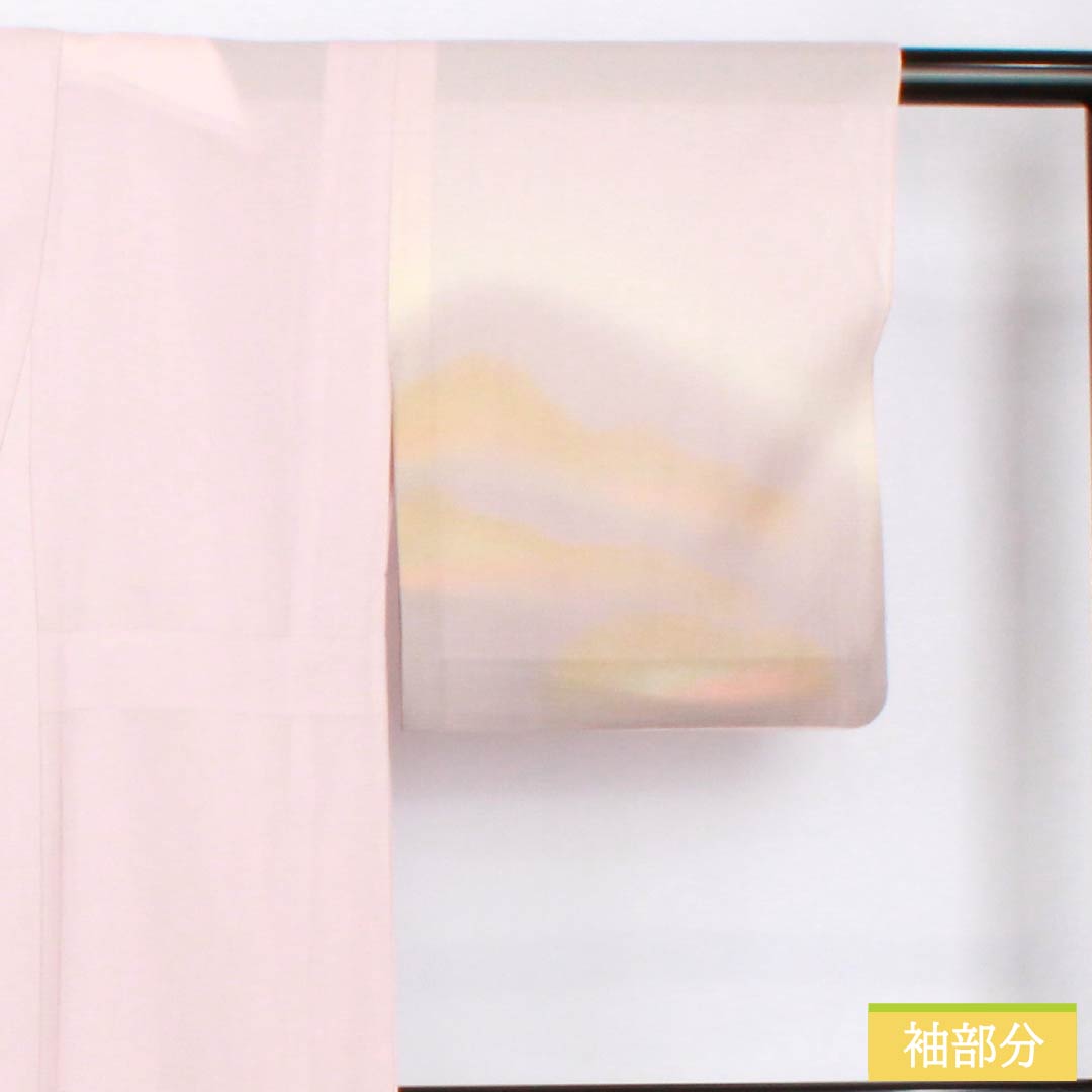 夏物 正絹 訪問着 身丈153cm 裄丈61.5cm 桜色(さくらいろ) 京友禅 一つ紋 丸に橘 絽 Bランク ピンク系 1132002194213