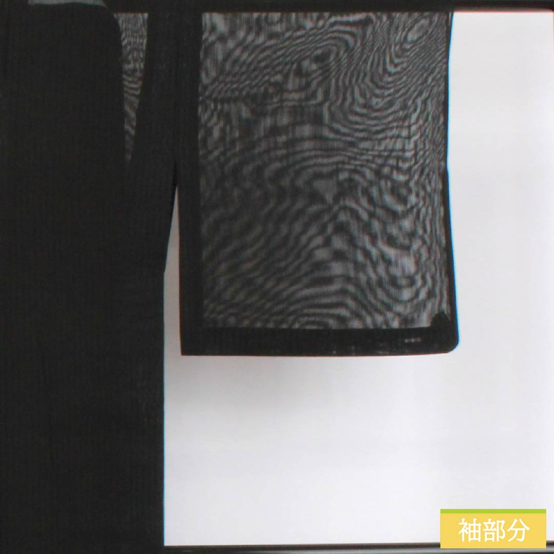 夏物 正絹 色無地 身丈157.5cm 裄丈62.5cm 竪絽 絽 Aランク 黒系 1132002703310