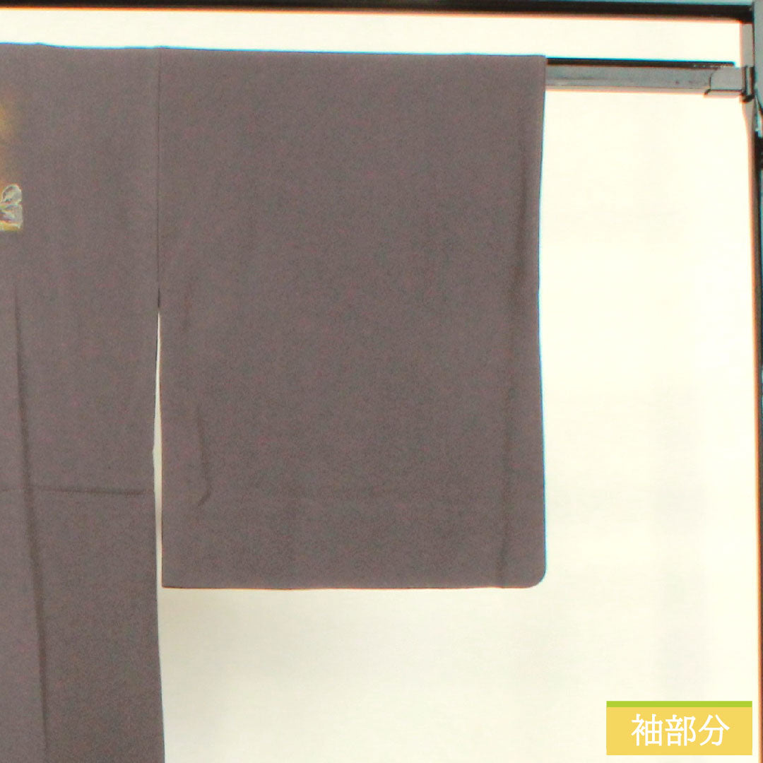 訪問着 正絹 袷 身丈161cm 裄丈66.5cm 黝色(ゆうしょく) 京友禅 蝶 蔦 流水 Sランク グレー系 1112004162422