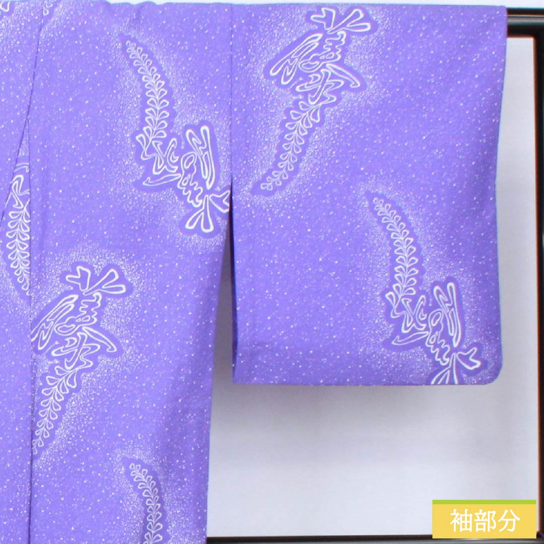 小紋 ポリエステル 身丈161.5cm 裄丈65.5cm 単衣 杜若色(かきつばたいろ) 藤 洗える着物 Sランク 紫系 1115006042420