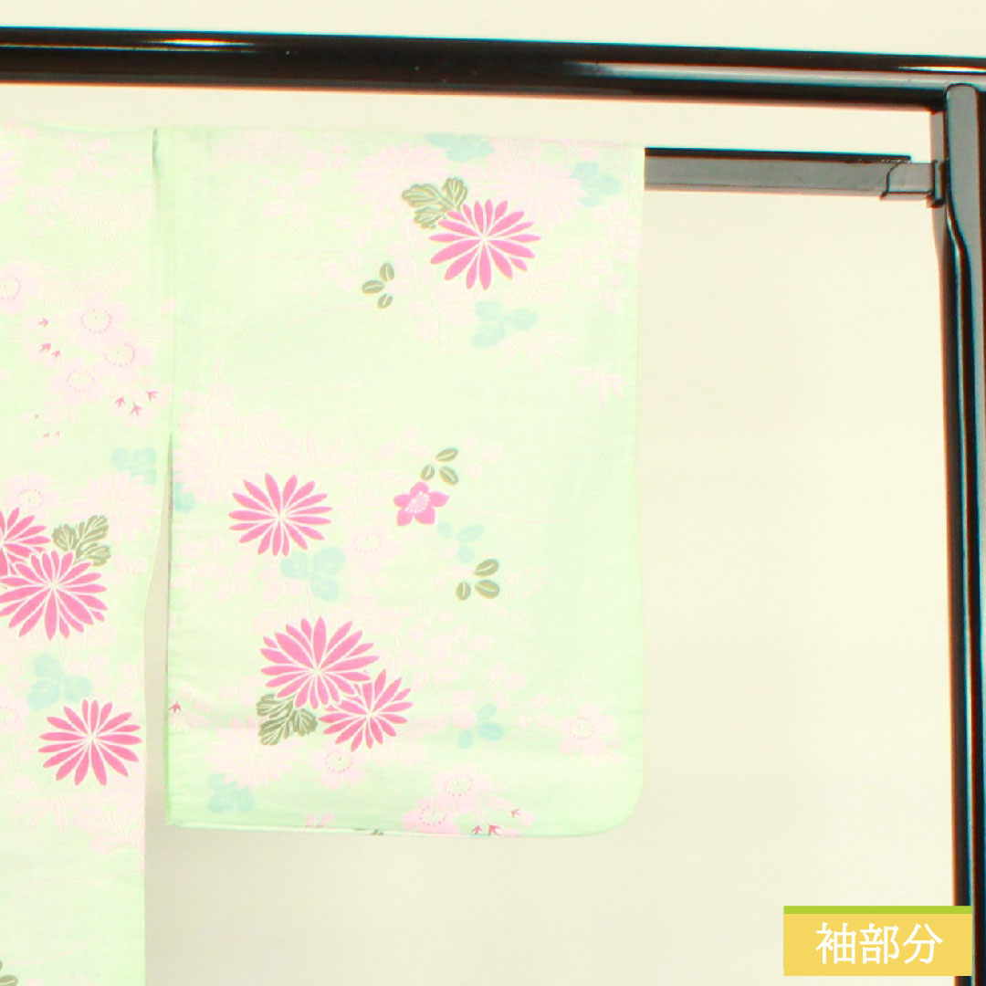 浴衣 木綿 身丈168.5cm 裄丈64cm Sランク 単衣 緑系 白緑色(びゃくろくいろ) 菊 桜 萩 1118004682519