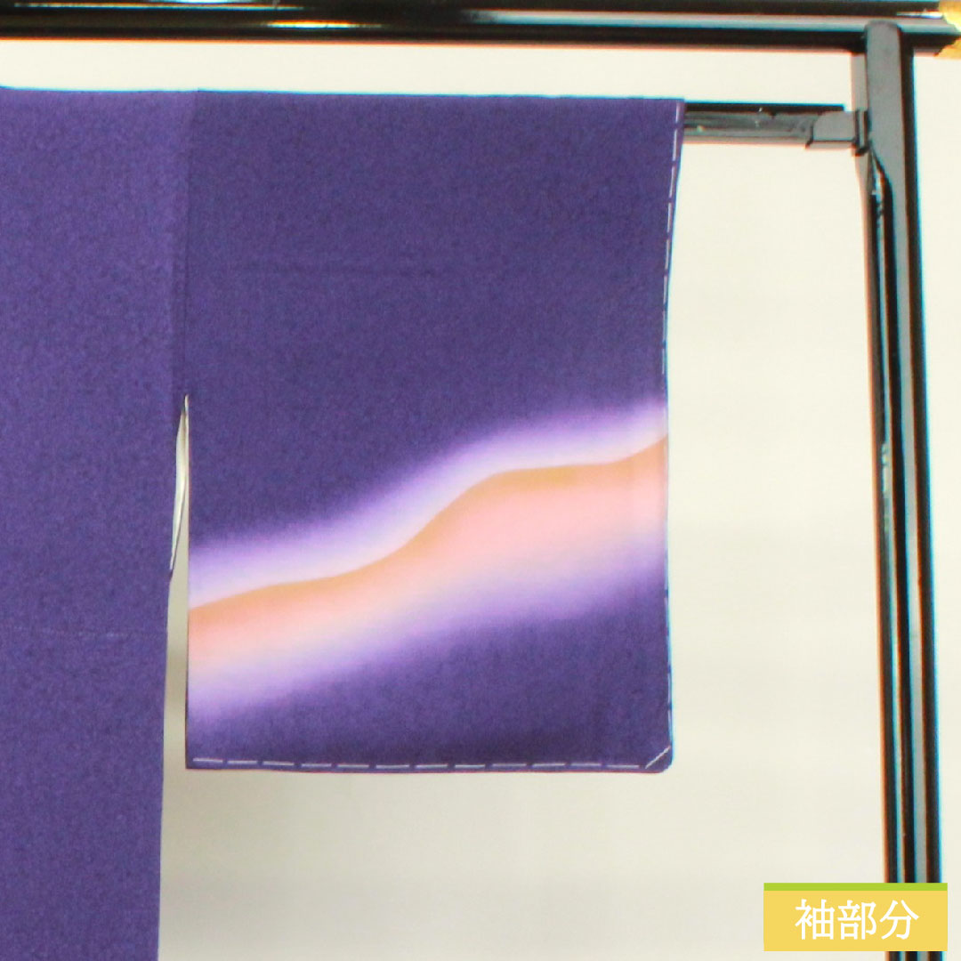 訪問着 正絹 袷 身丈163.5cm 裄丈68cm 江戸紫色(えどむらさきいろ) タタキ染 遠山模様 しあわせガード加工 Sランク 紫系 1112004862420