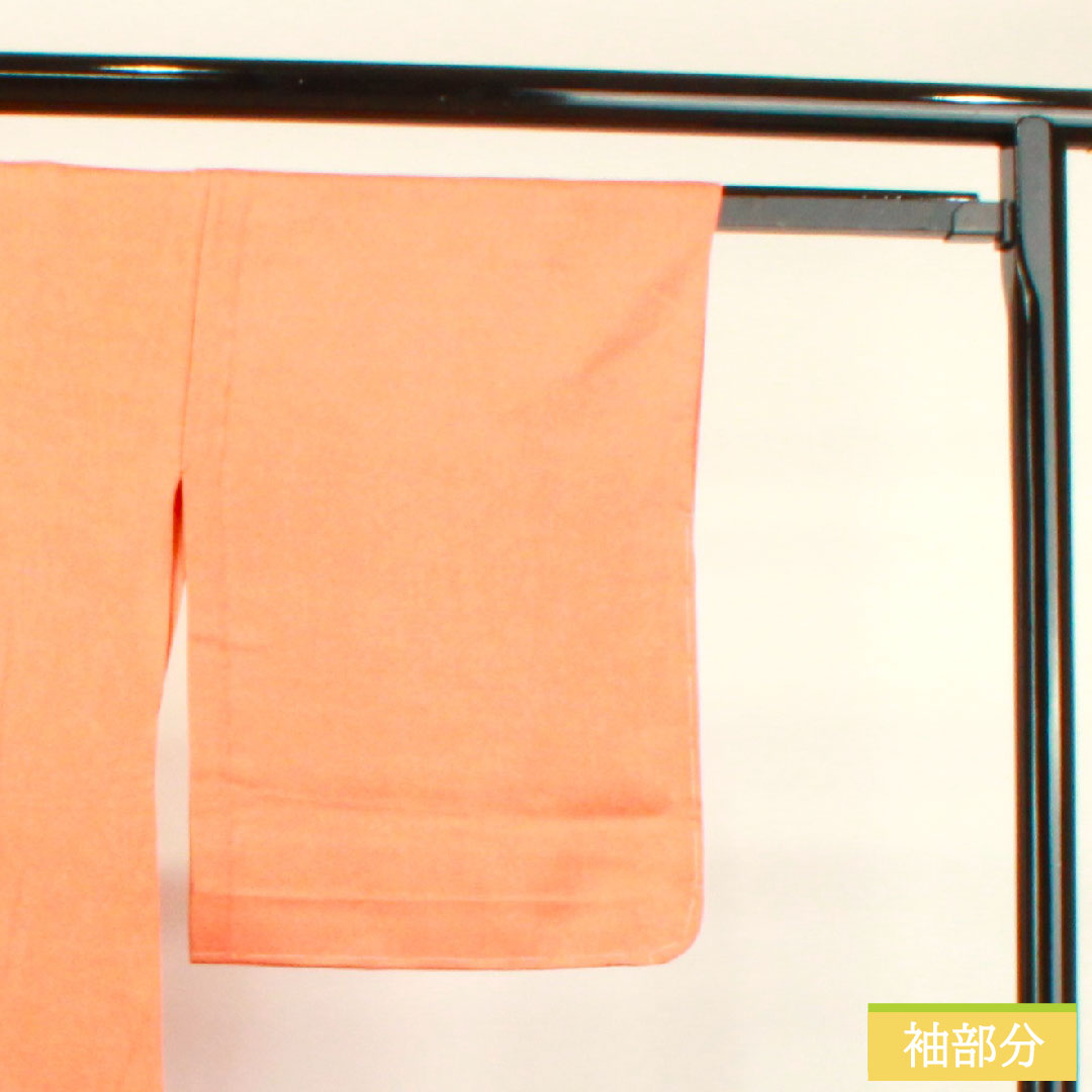 小紋 正絹 身丈160cm 裄丈63.5cm 単衣 鉛丹色 江戸小紋 行儀 Aランク 橙系 1115003663426