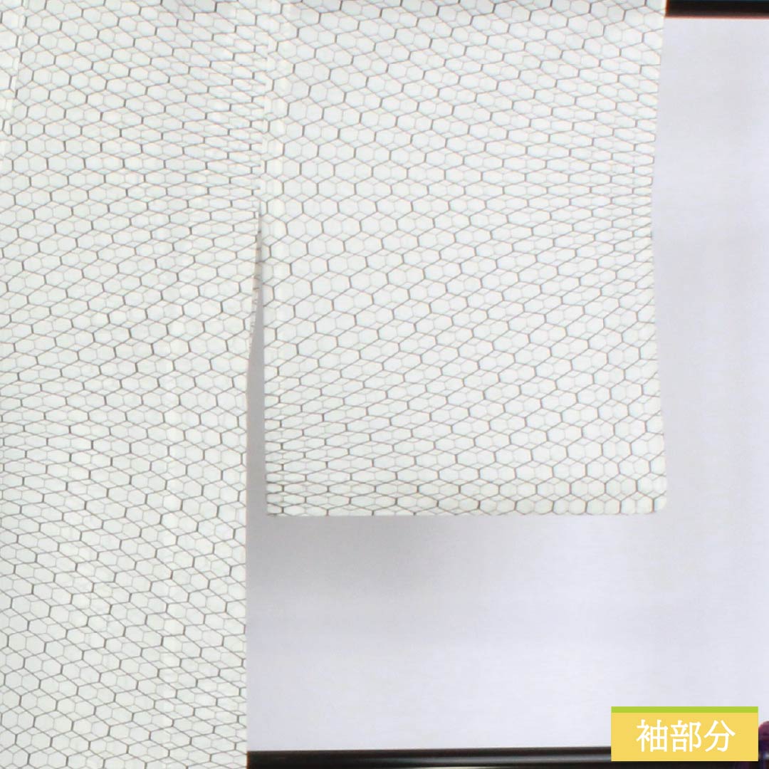 夏物 ポリエステル 小紋 身丈156cm 裄丈64cm 亀甲 洗える着物 絽 Sランク 白系 1132002612311