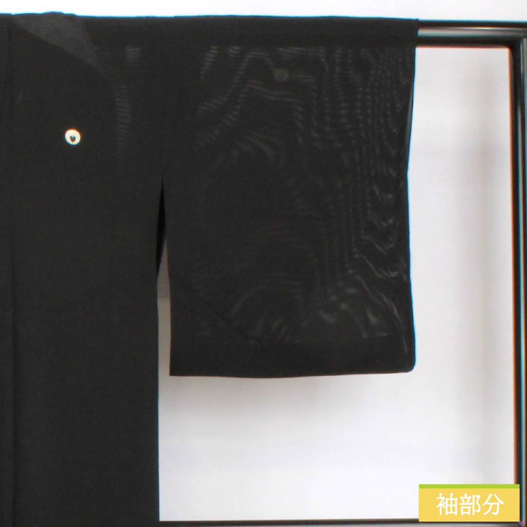Summer pure silk black formal kimono, length 153cm, sleeve length 62cm, Kyoto yuzen, five crests, wisteria, silk, A rank, black, 1132002103210