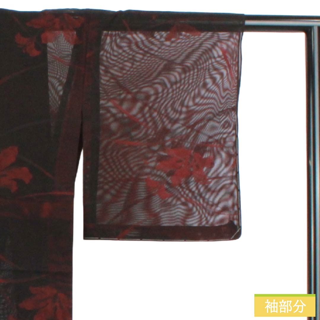 夏物 正絹 お召 Bランク 身丈155.5cm 裄丈62.5cm 暗紅色(あんこうしょく) 露芝 草花模様 紗 赤系 1132004264312