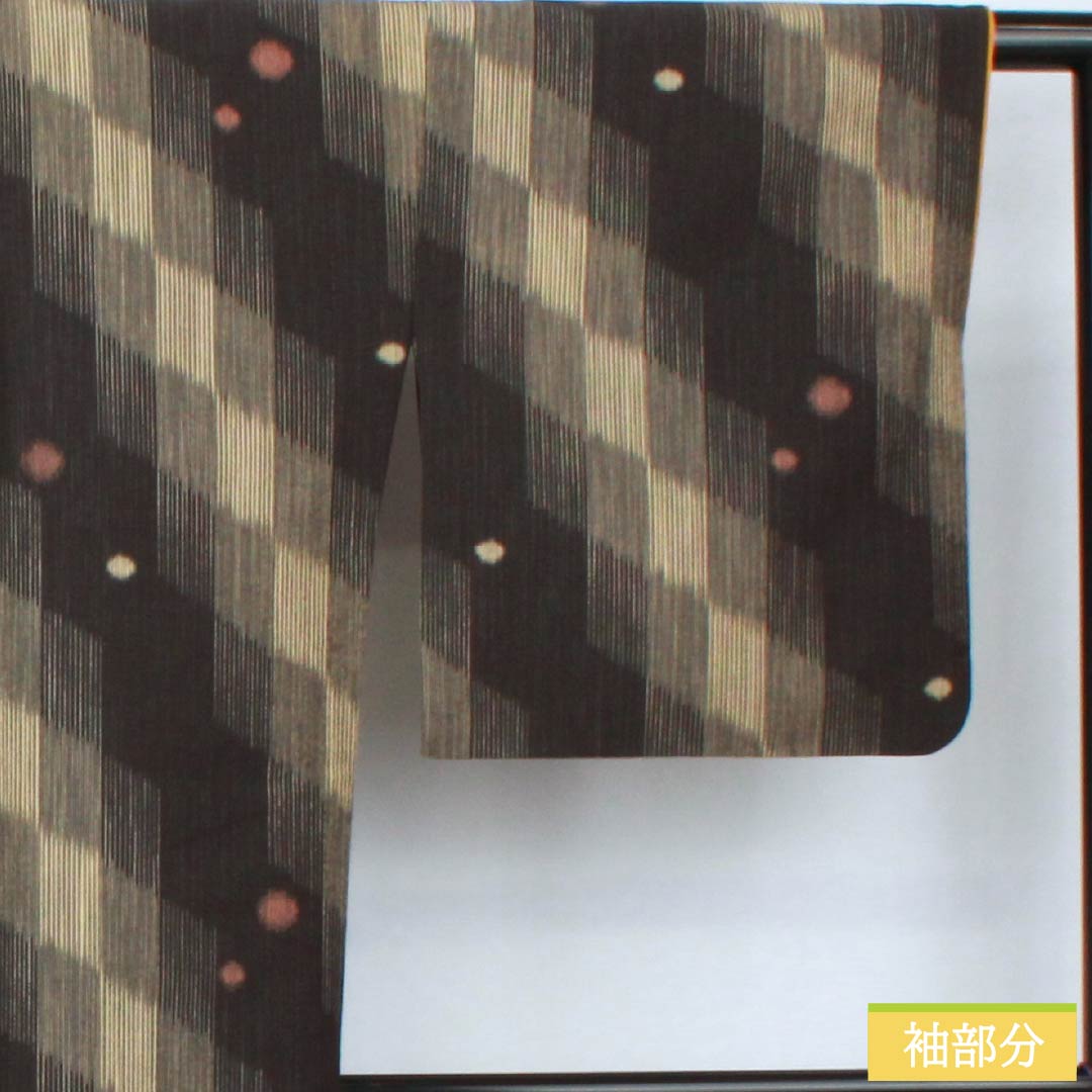 小紋 ポリエステル 身丈166.5cm 裄丈69cm 袷 網代 水玉 洗える着物 Sランク 黒系 1115005862510