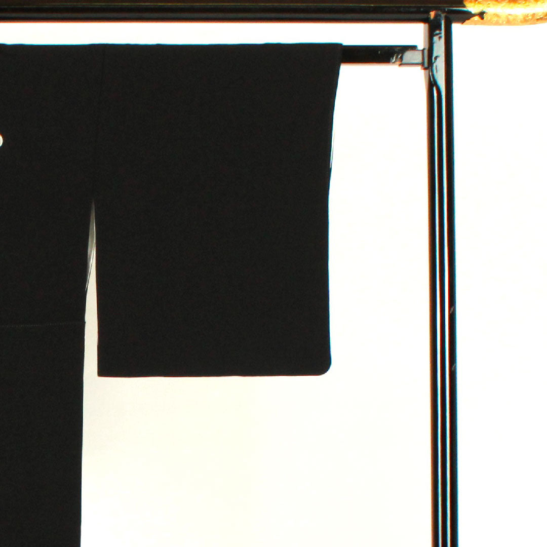 黒留袖 身丈161.5cm 裄丈66cm 袷 作家物 風景模様 下がり藤 正絹 Aランク 五つ紋 黒系 1111000353410