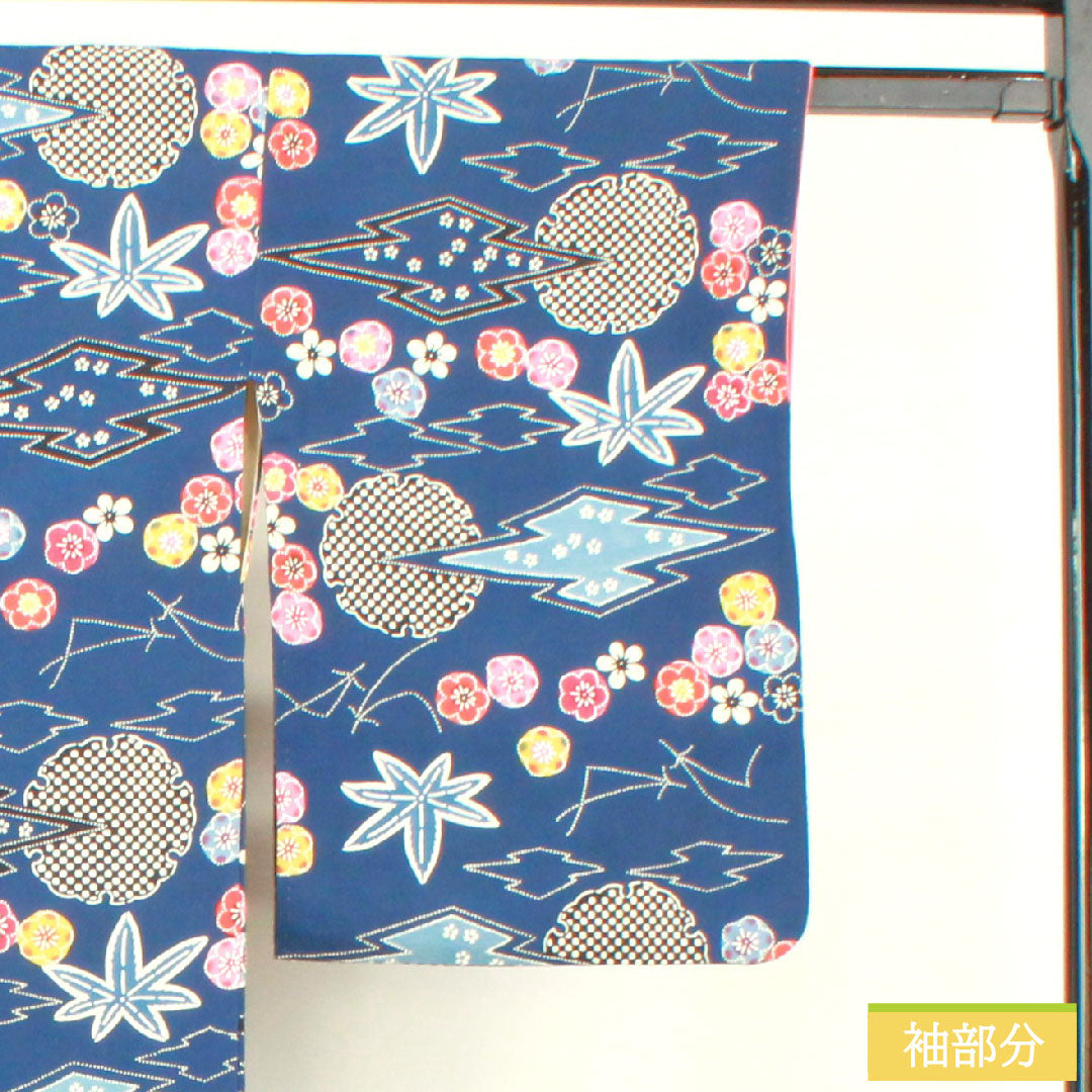 小紋 正絹 身丈162cm 裄丈65cm 袷 鉄葡萄色(てつぶどういろ) 京紅型 吉祥文様 Aランク 紺系 1115004453418