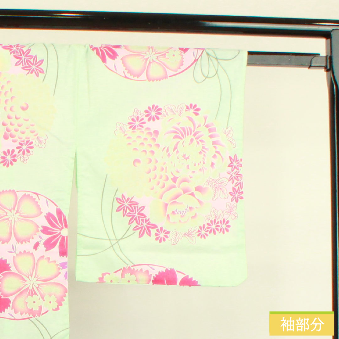 浴衣 木綿 身丈166.5cm 裄丈66cm Sランク 単衣 緑系 白緑色(びゃくろくいろ) 菊 撫子 1118004712519