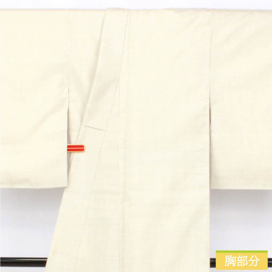 紬 正絹 Sランク 身丈157cm 裄丈63.5cm 生成り色(きなりいろ) 白大島 蚊絣 しつけ糸付き 袷 白系 1116004362311