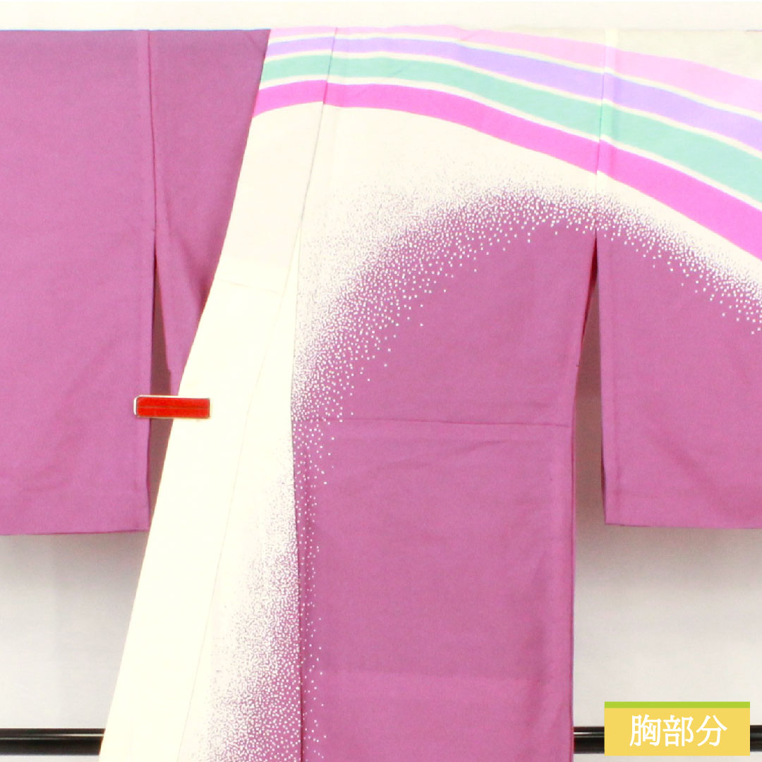Homongi (formal kimono) made of polyester, single layer, length 161.5cm, sleeve length 66.5cm, aoi-iro (blue color), washable kimono, A rank, purple, 1112005383420