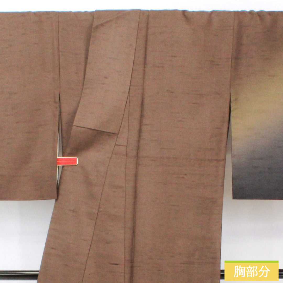 Homongi (formal kimono) made of pure silk, lined, length 169.5cm, sleeve length 66cm, smoked color (fusubeiro), pongee fabric, blurred pattern, A rank, brown, 1112005343514