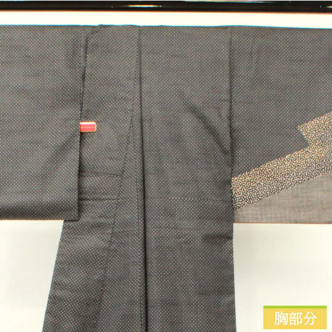 Homongi, pure silk, lined, length 164.5cm, sleeve length 63.5cm, Kyutaro Kawamura, Oshima Tsumugi, embroidery, Super Guard processing, S rank, gray, 1112004002422