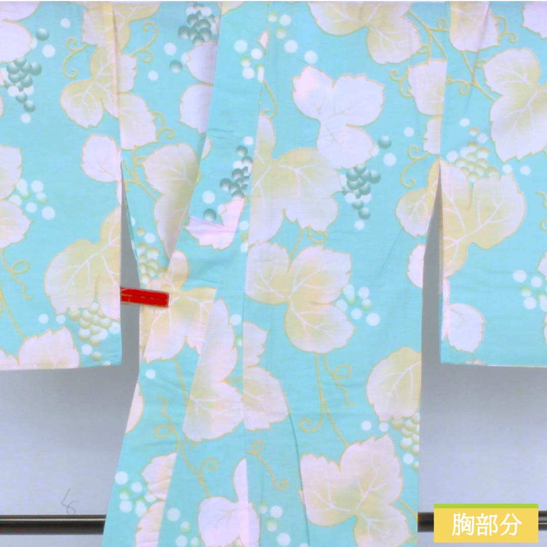 浴衣 木綿 身丈166cm 裄丈64cm Aランク 単衣 水色系 水色(みずいろ) 蒲萄 蔦 1118006503524