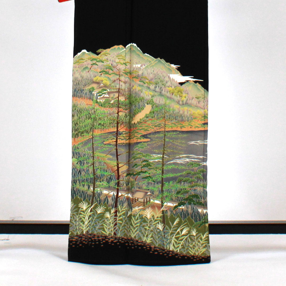 黒留袖 身丈165.5cm 裄丈65cm 袷 風景模様 下がり藤に三ツ割銀杏 正絹 Sランク 五つ紋 黒系 1111000262510