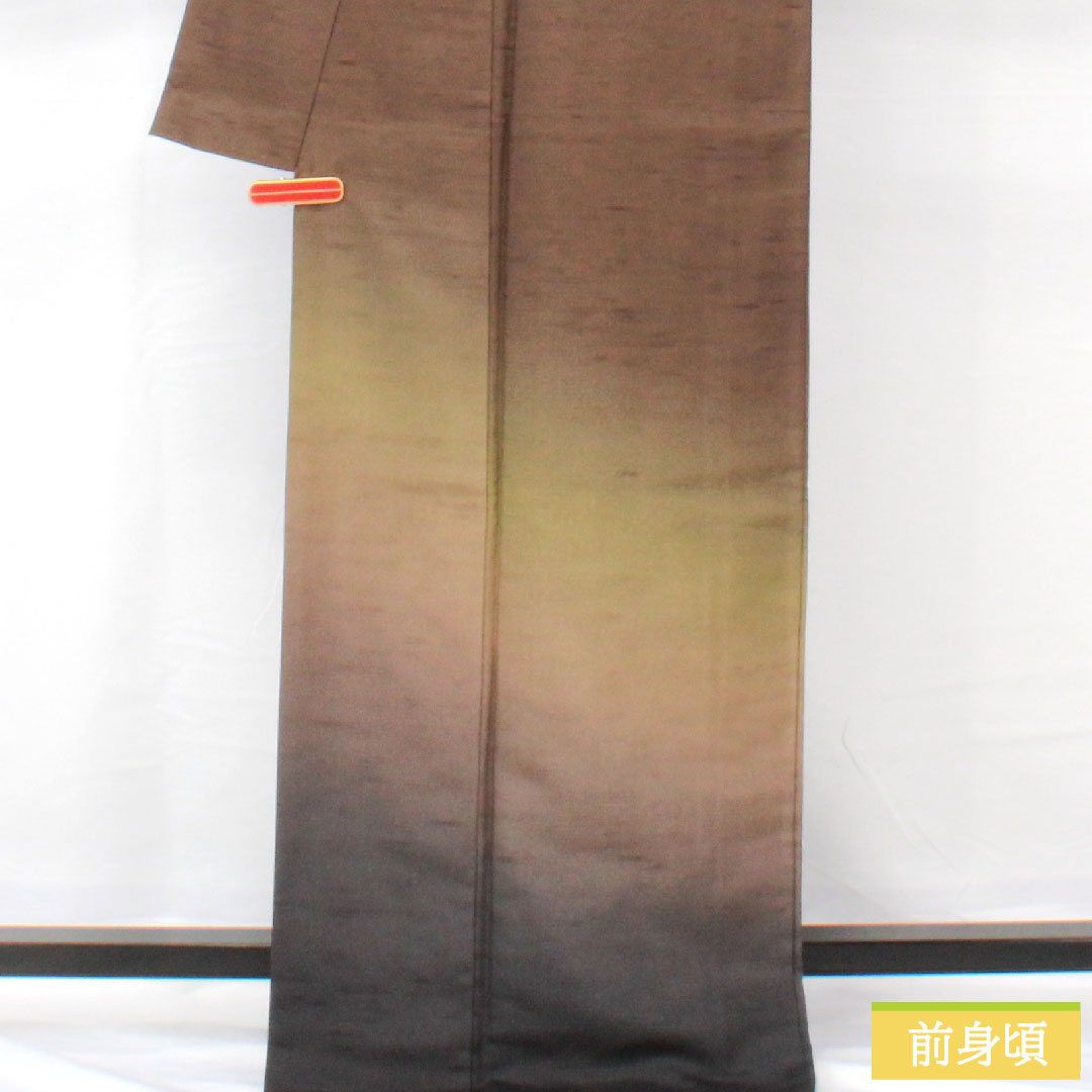 Homongi (formal kimono) made of pure silk, lined, length 169.5cm, sleeve length 66cm, smoked color (fusubeiro), pongee fabric, blurred pattern, A rank, brown, 1112005343514