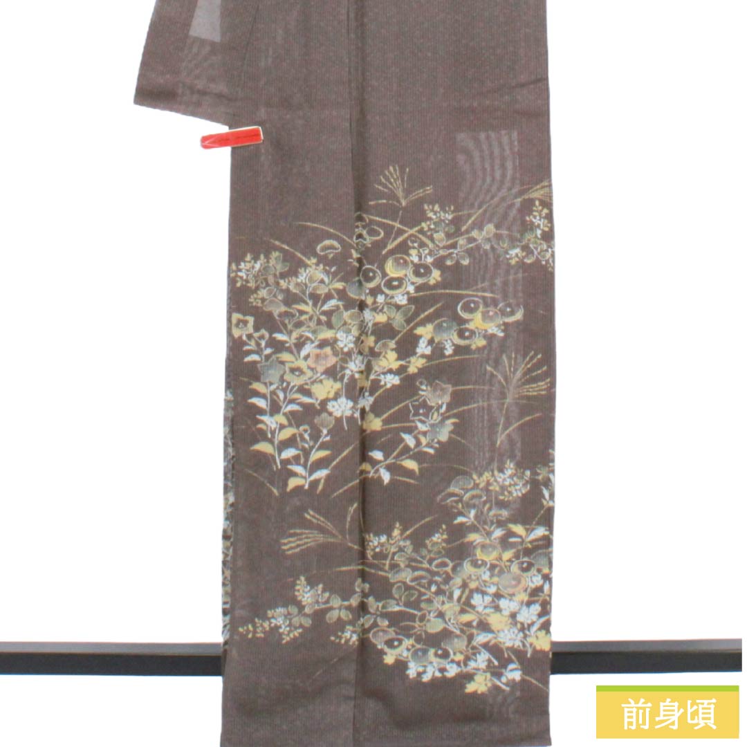 夏物 正絹 訪問着 Bランク 身丈165.5cm 裄丈65cm 都鼠色(みやこねずいろ) 京友禅 タタキ染 秋草 絽 茶系 1132005104514
