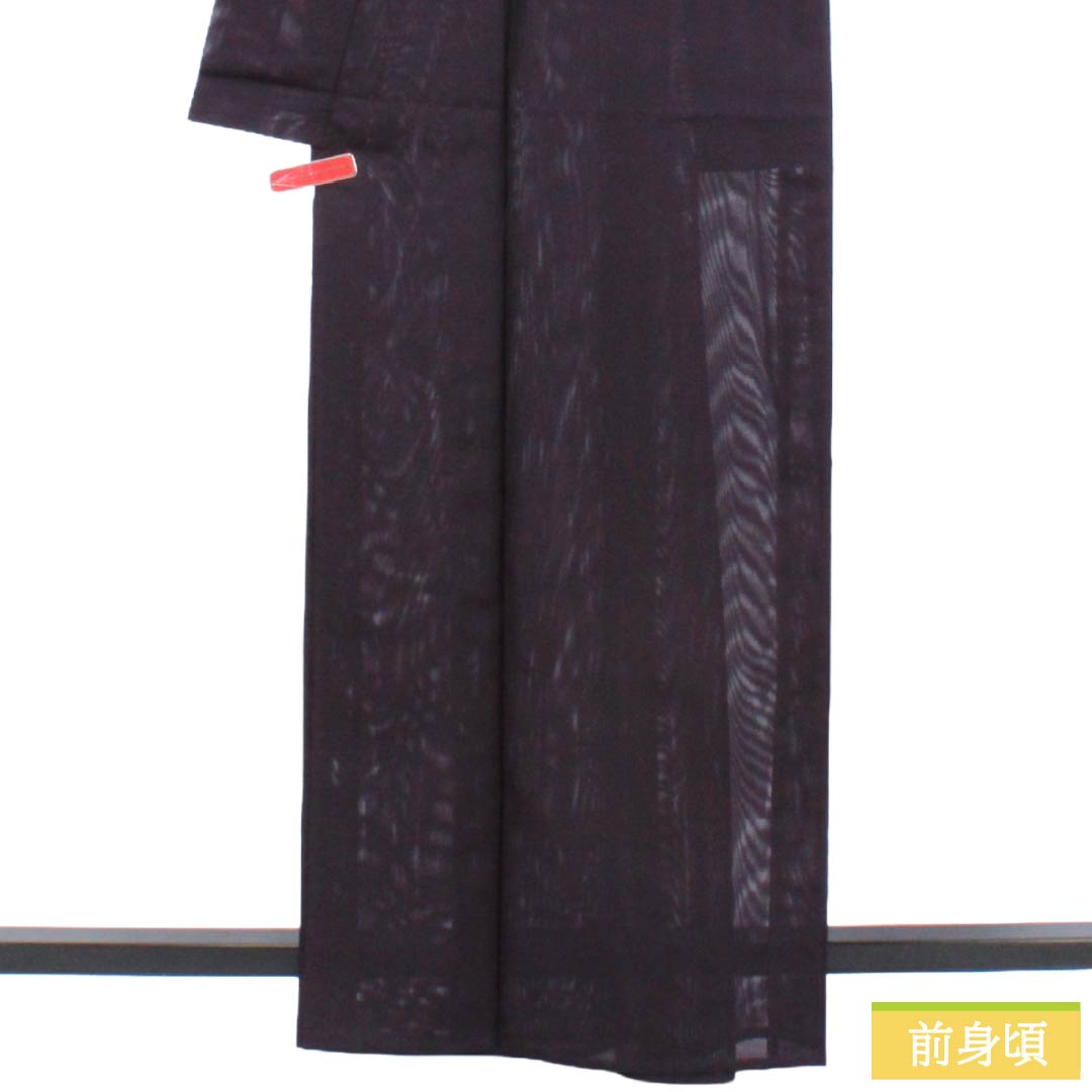 夏物 ポリエステル 色無地 Aランク 身丈163.5cm 裄丈66.5cm 紫烏色(しうしょく) 洗える着物 素無地 絽 紫系 1132004043420