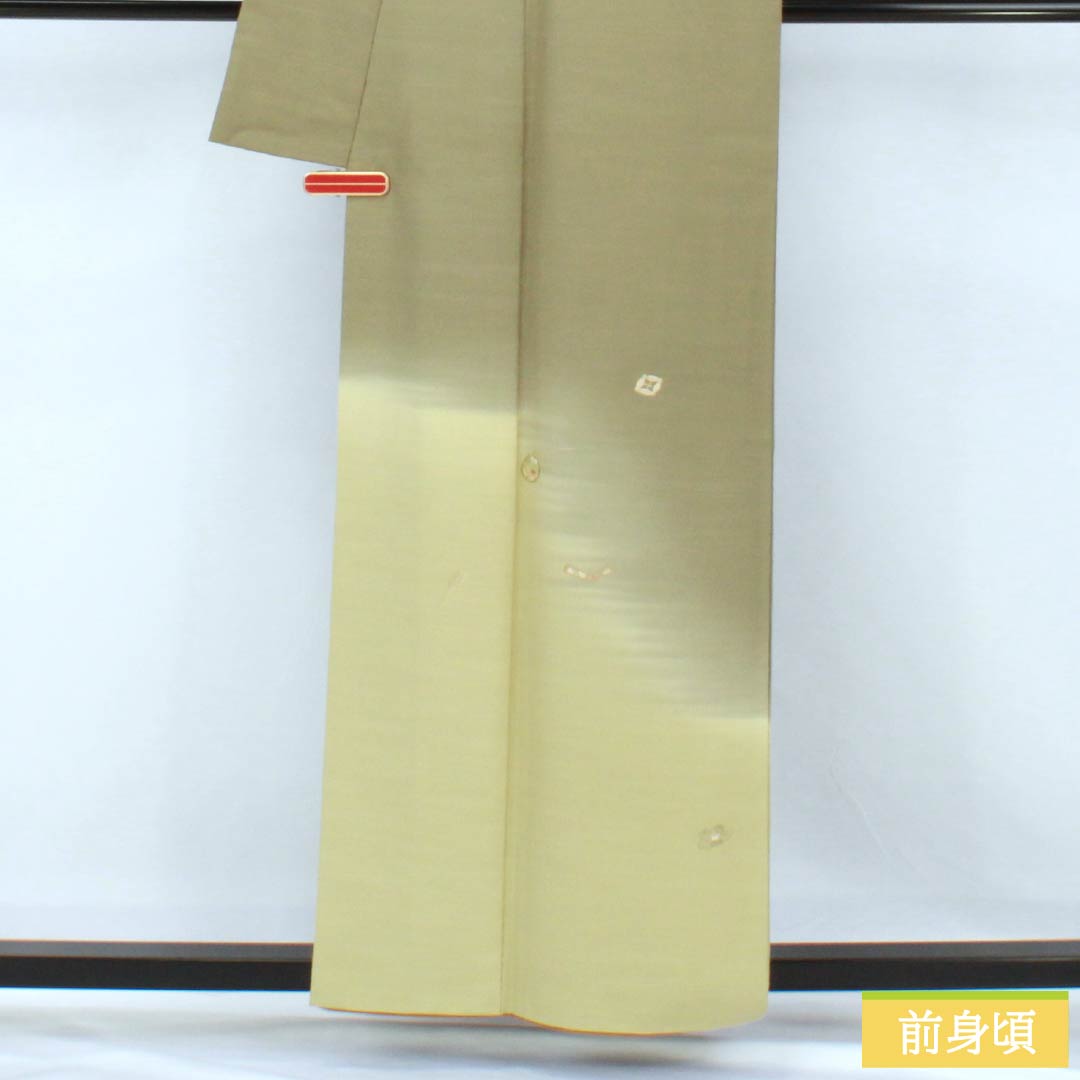 Visiting Kimono, Pure Silk, S Rank, Lined, Length 159.5cm, Sleeve Length 62.5cm, Negishi Color (Negishi-iro), Tsukesage, Fukiyose Pattern, Green Embroidery, Product Number: 1112007092319