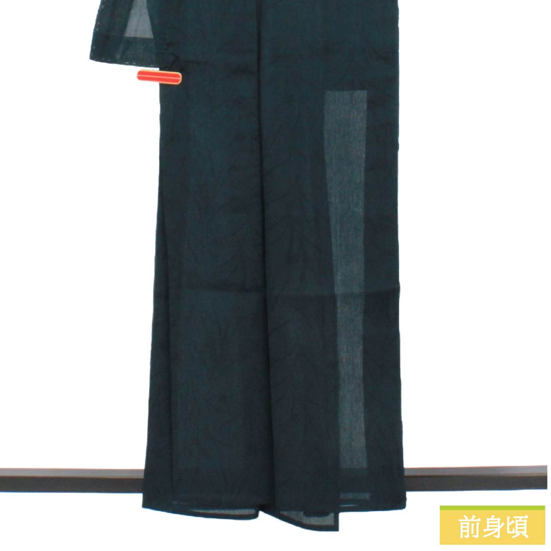 夏物 ポリエステル 色無地 Aランク 身丈160cm 裄丈63.5cm 青墨色(あおずみいろ) 草花模様 縮風 紗 緑系 1132004623419