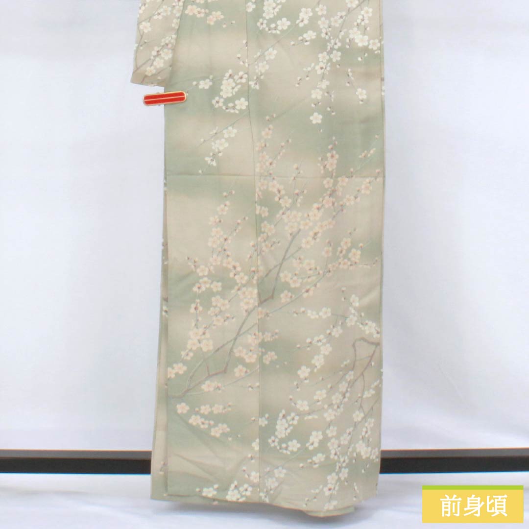 Komon Polyester S Rank Length 161cm (63.4in) Sleeve-to-sleeve 66cm (26.0in) Unlined Enshū-nezumi (Muted Gray) Stenciled Dyeing Gradated Dyeing Cherry Blossom Washable Kimono Beige-tone 1115007802425