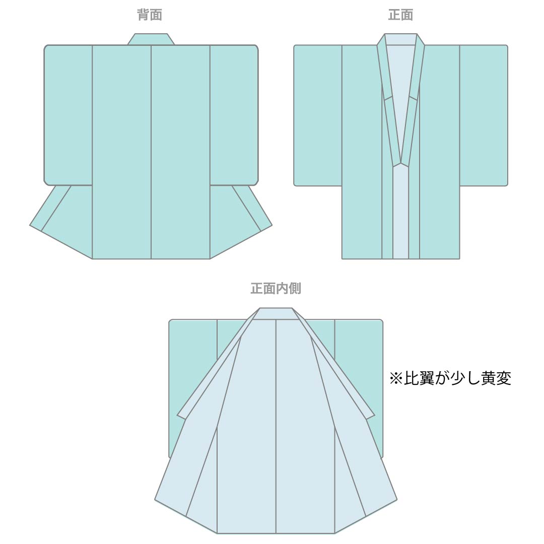 色留袖 正絹 Sランク 身丈149cm 裄丈63cm 袷 浅藍色(あさきあいいろ) 京友禅 流水 草花模様 一つ紋 五三桐 比翼付き 一つ紋 緑系 1111002142119
