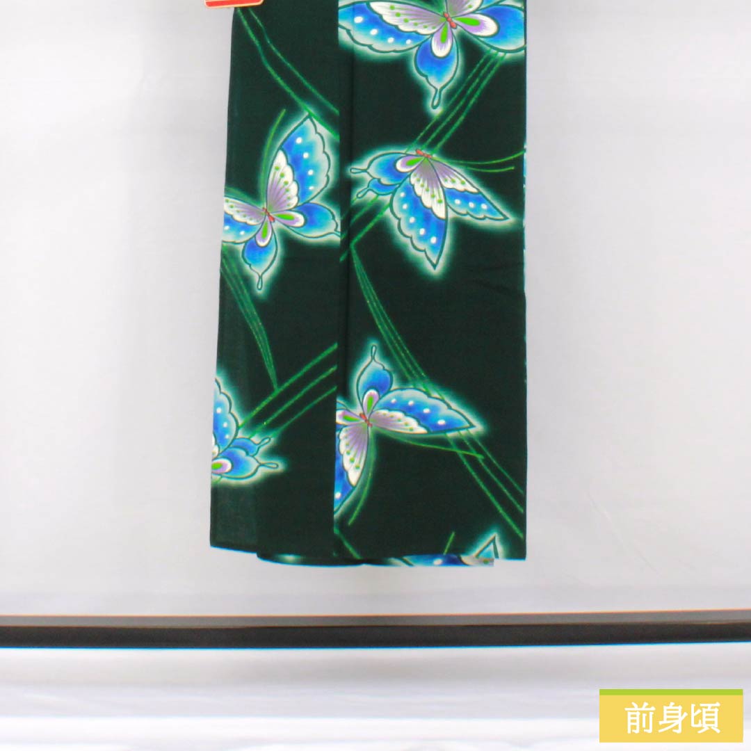浴衣 木綿 身丈144cm 裄丈65cm Sランク 単衣 緑系 深緑色(ふかきみどりいろ) 蝶 1118005332119